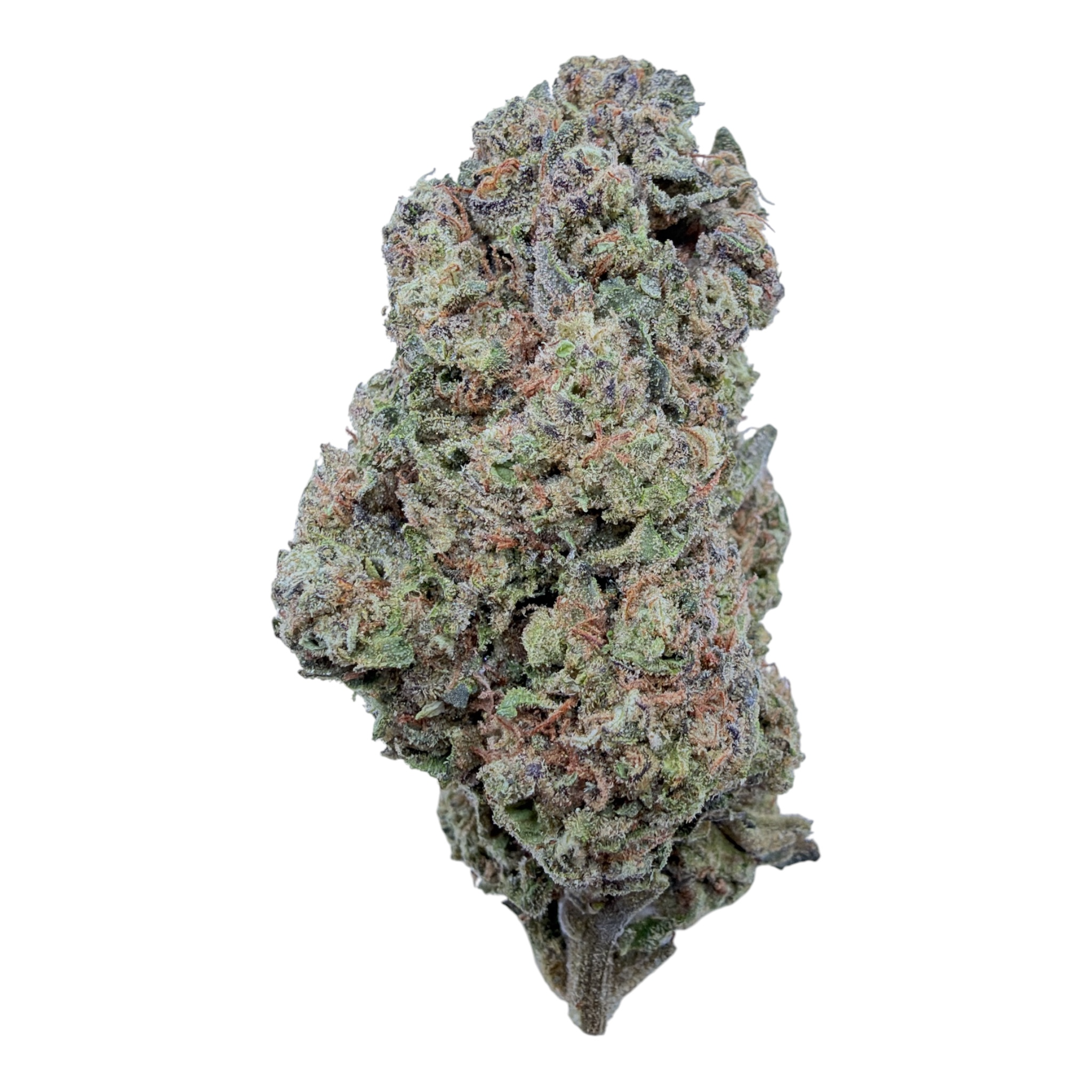 Oreo Blizzard THCA flower – isolated current-batch bud on white background