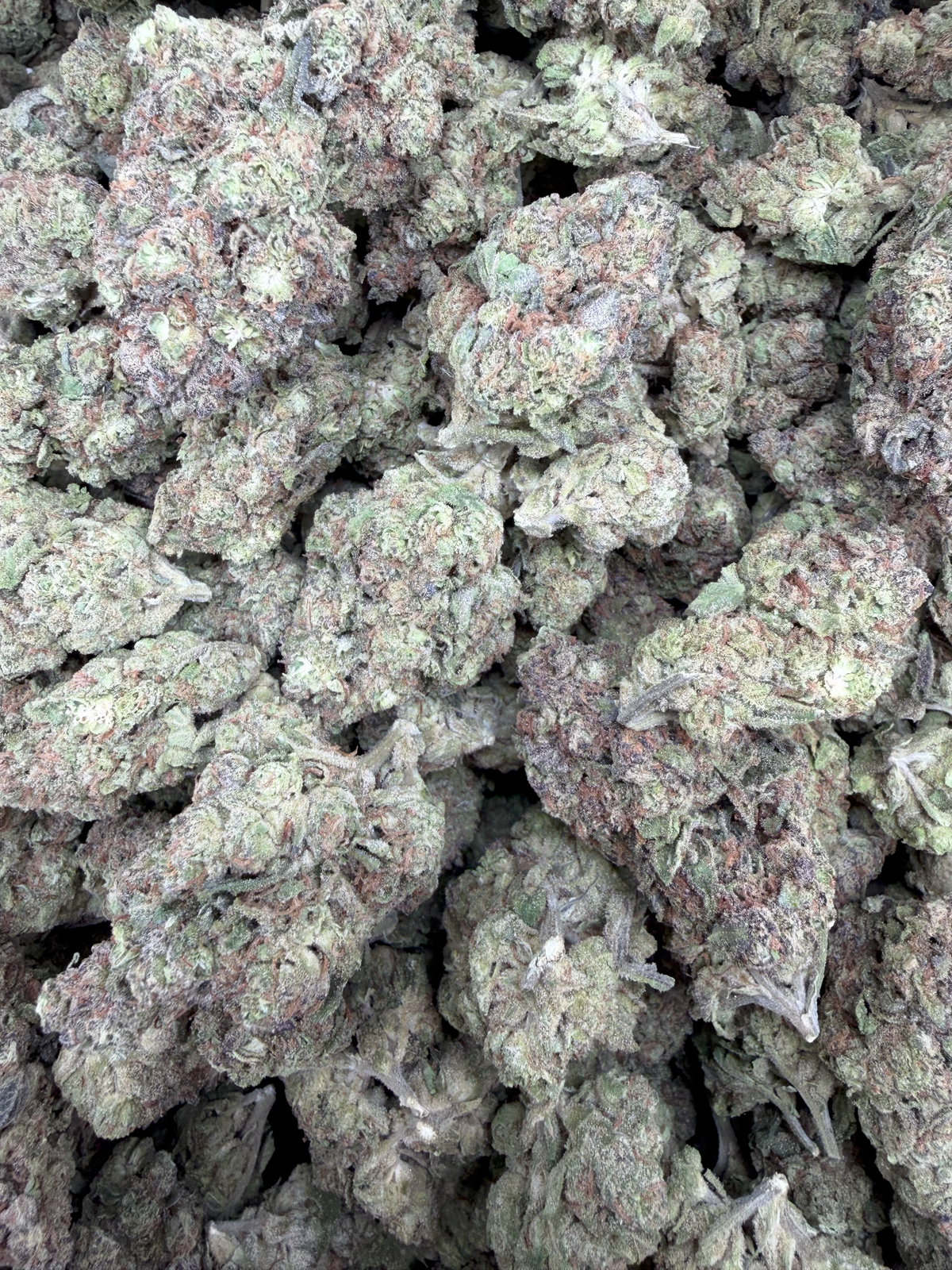 Oreo Blizzard THCA flower – current full-lot view