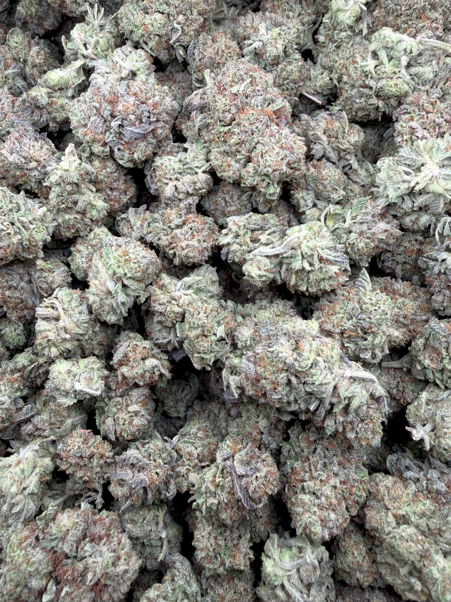 Oreoz THCA flower batch photo