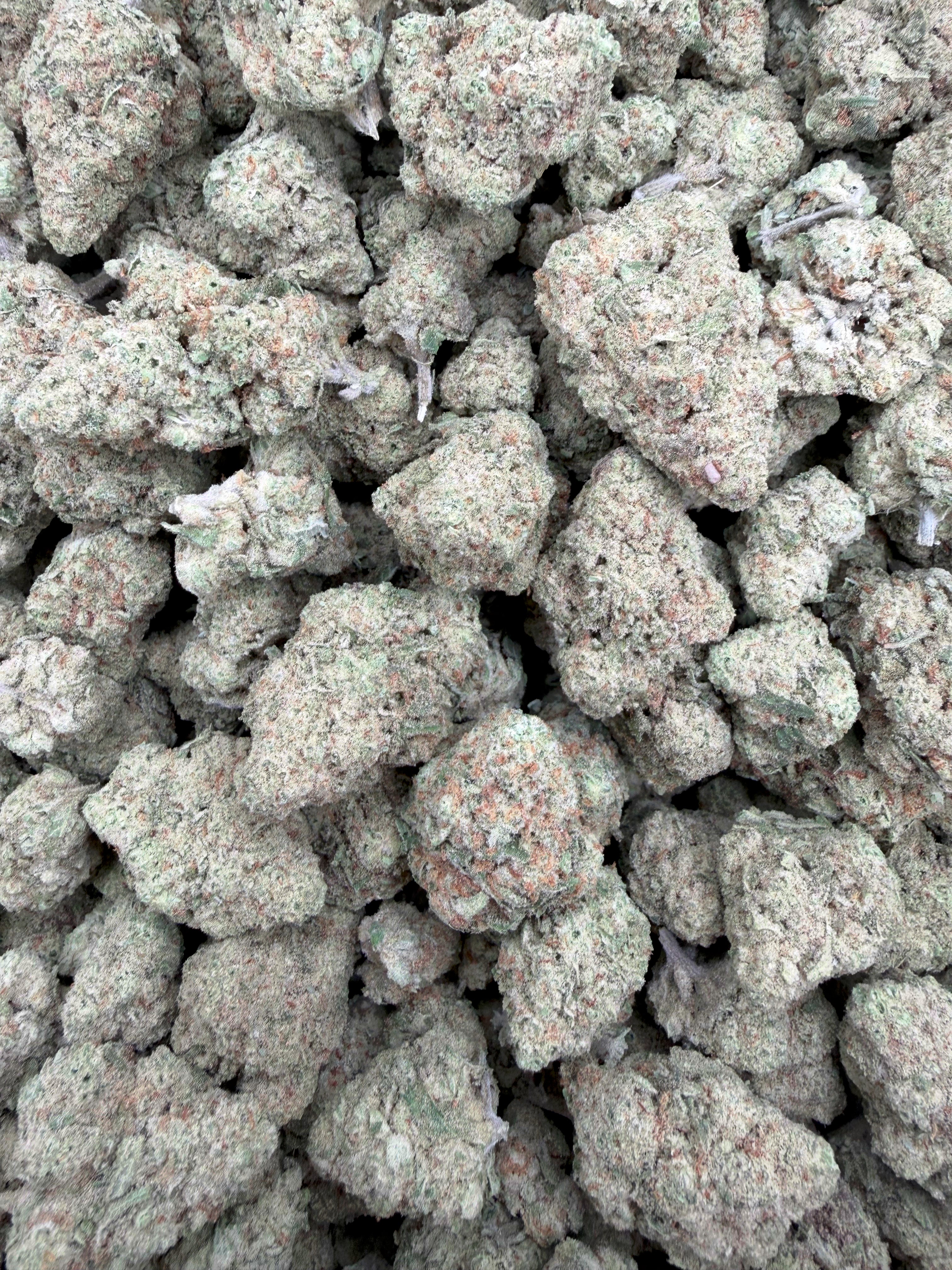 Papaya Punch THCA flower full-frame batch photograph