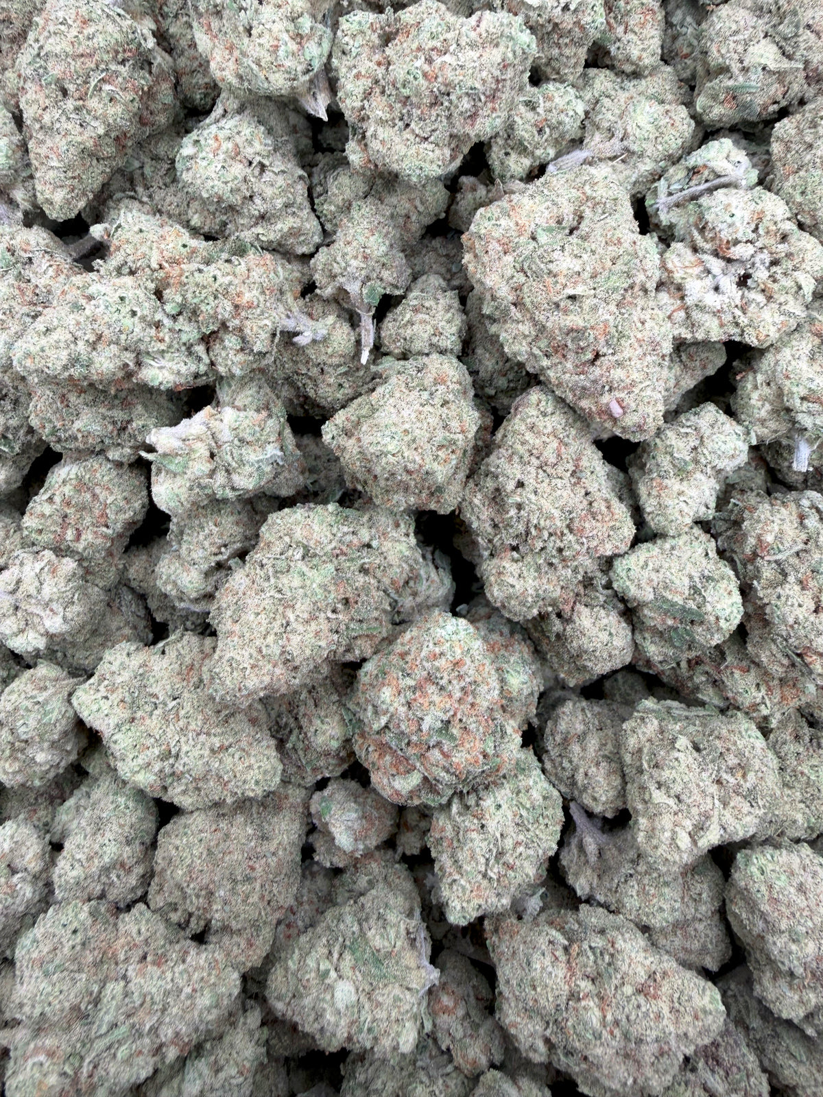 Papaya Punch THCA flower full-frame batch photograph