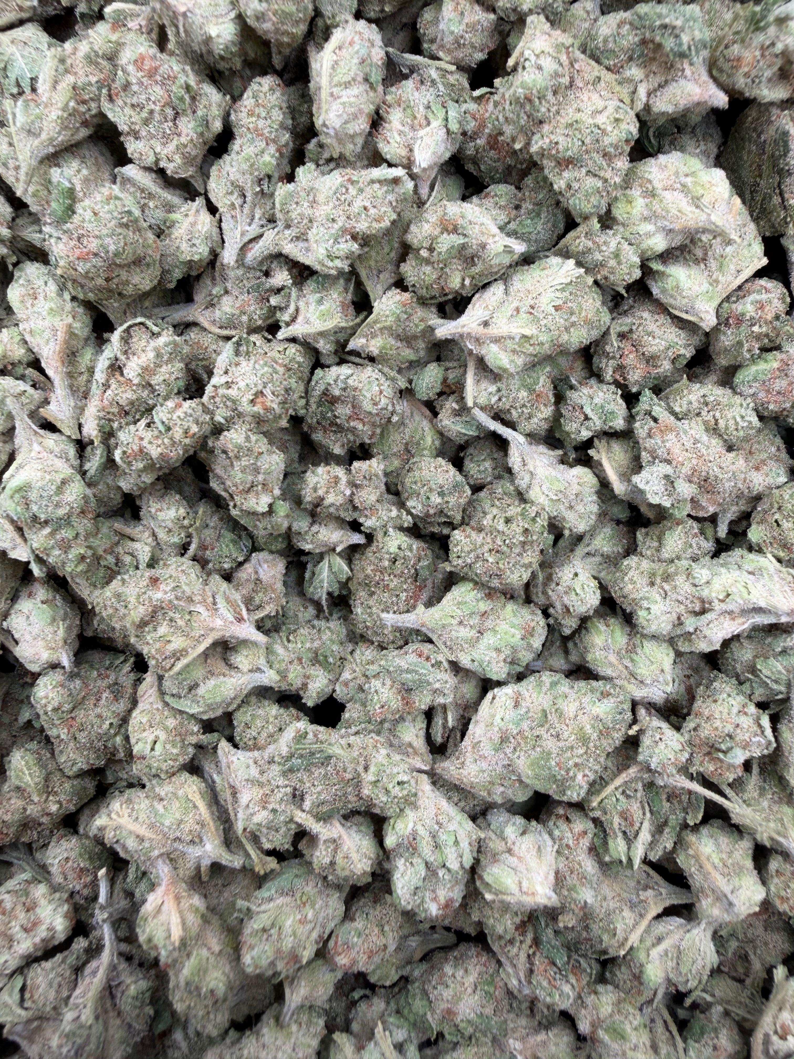 Papaya Punch Indoor Smalls THCA flower – full current-batch photo