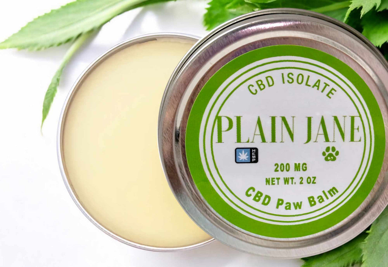 CBD Paw Balm