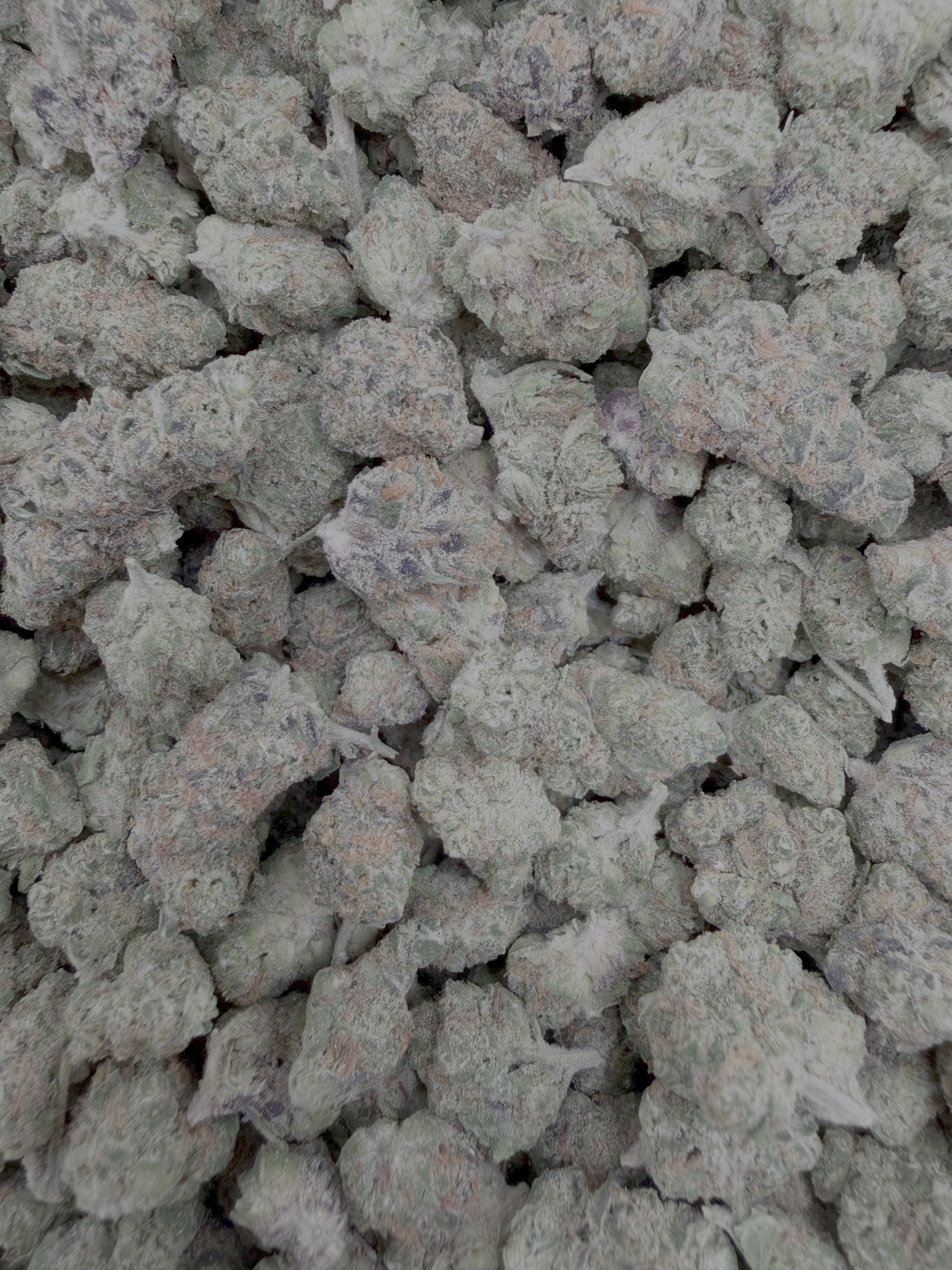 Peanut Butter Breath Indoor Smalls THCA flower – full-frame current-batch buds