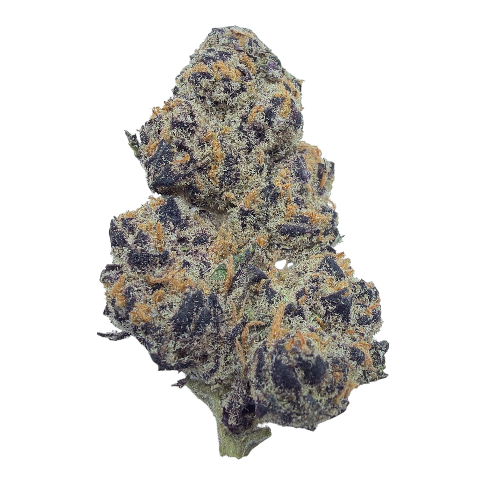 Peanut Butter Breath Exotic THCA flower – frosted purple bud