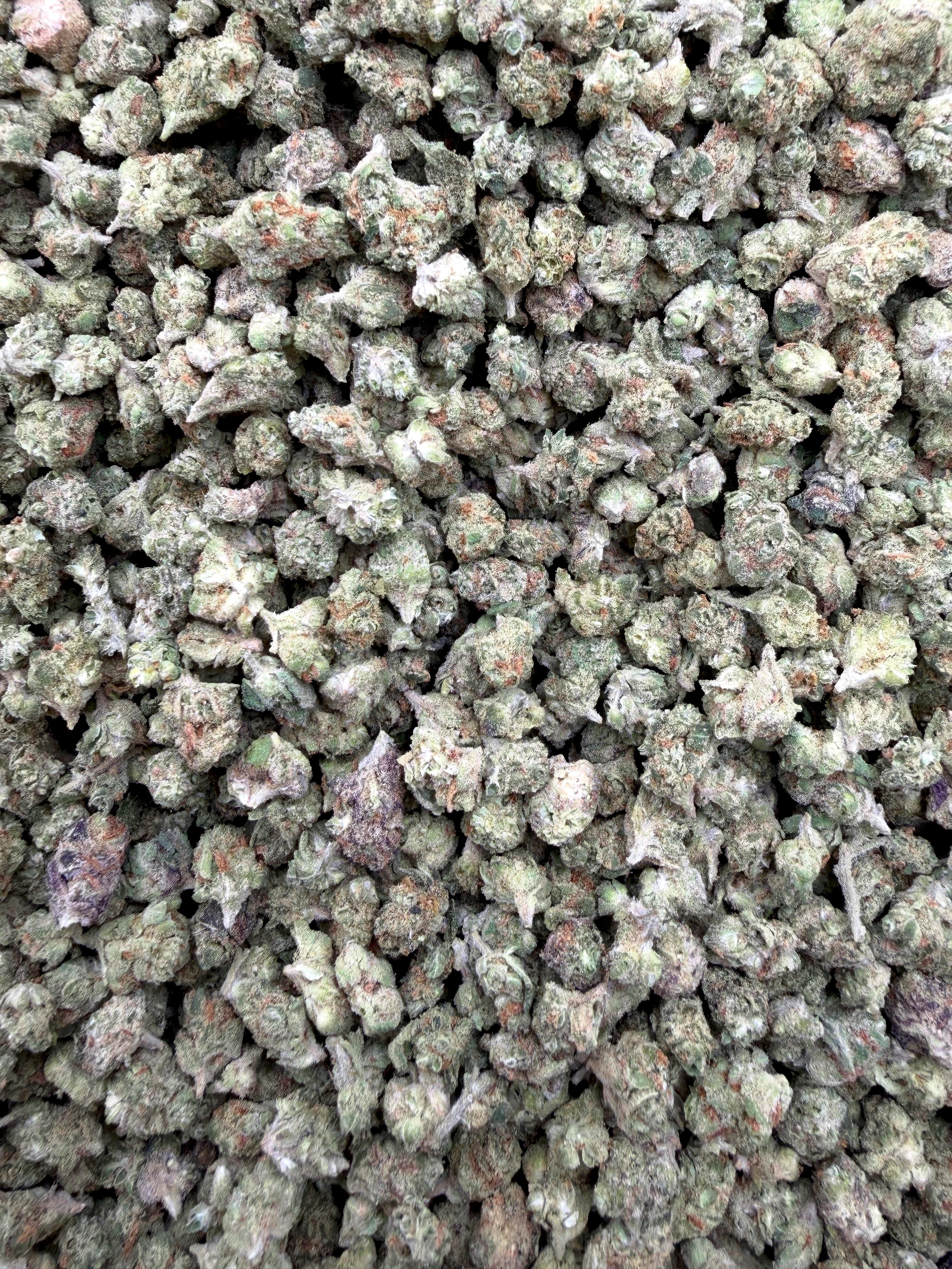 Pineapple Express Micros THCA flower full current-batch close-up