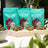 Plain Jane flower packages and flower arranged in a staged product photograph