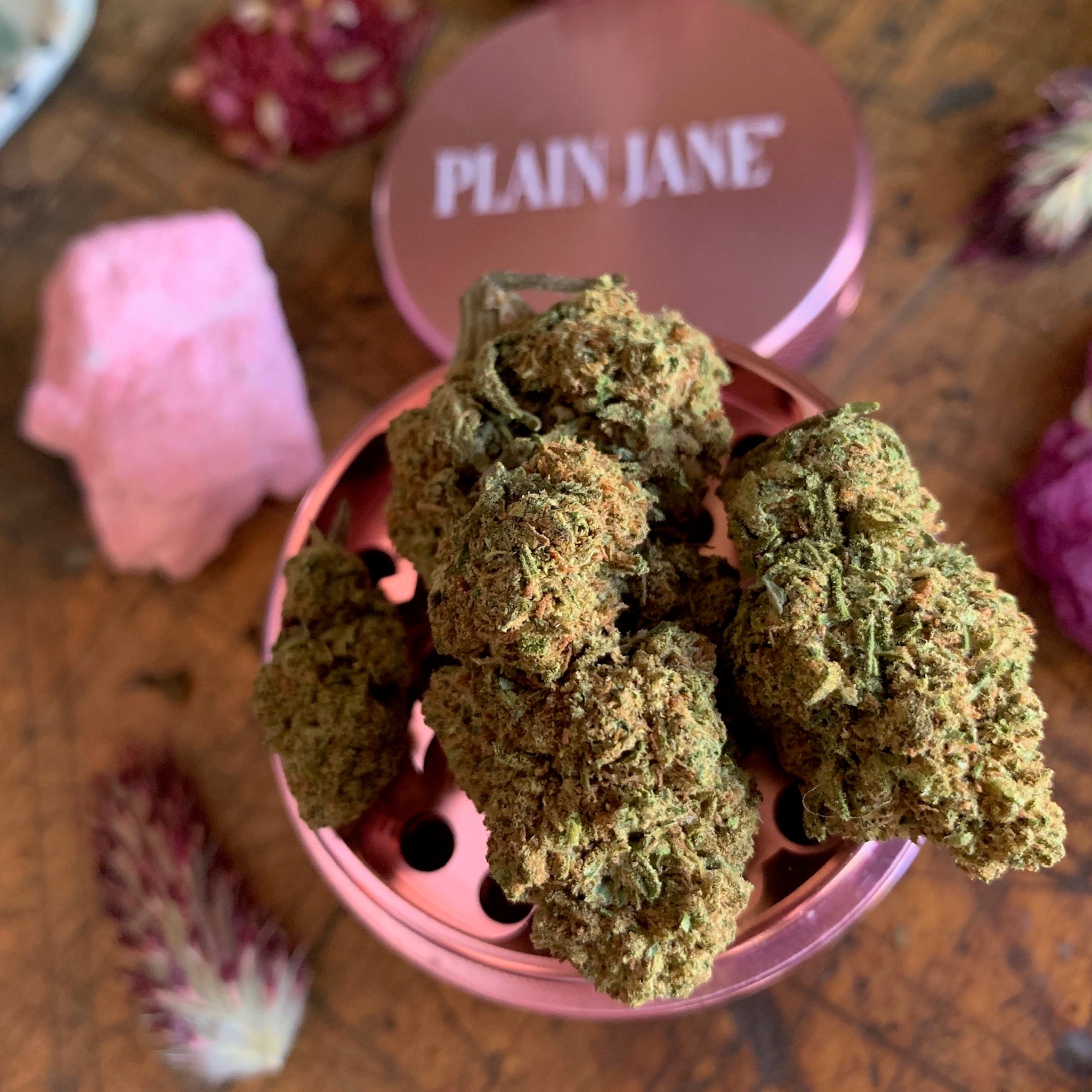 Pink grinder filled with Plain Jane flower