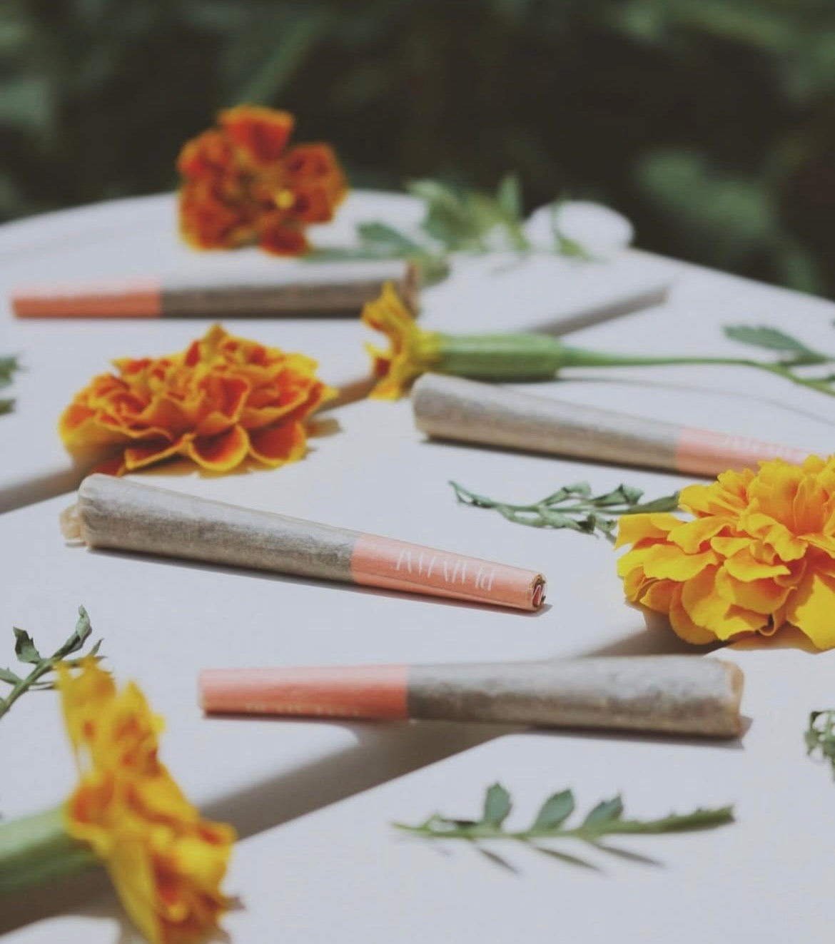 Floral tabletop composition with Plain Jane packaging