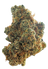 Snack Time Indoor Hemp Flower