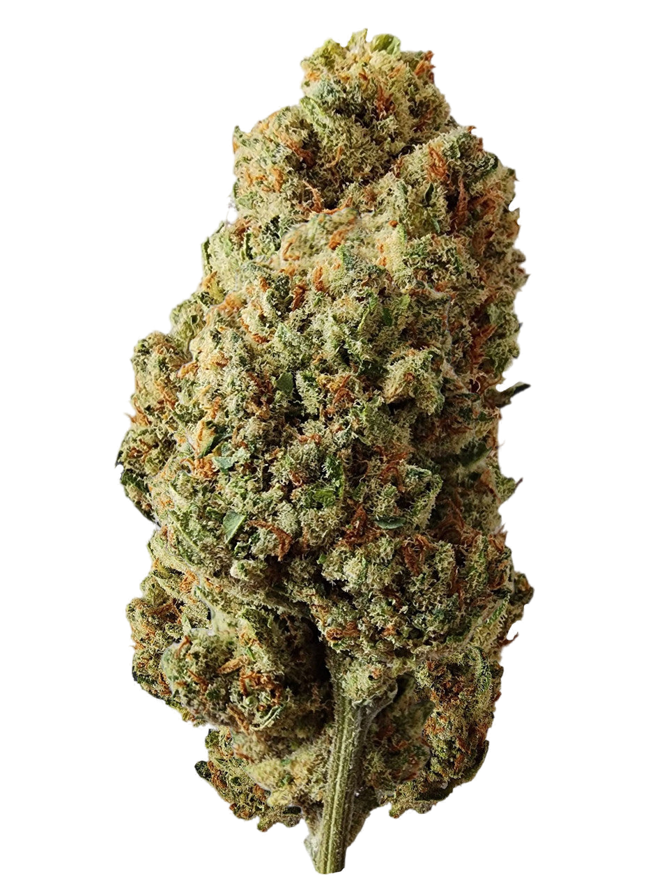 Lazy OG Greenhouse Flower