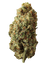 Lazy OG Greenhouse Flower