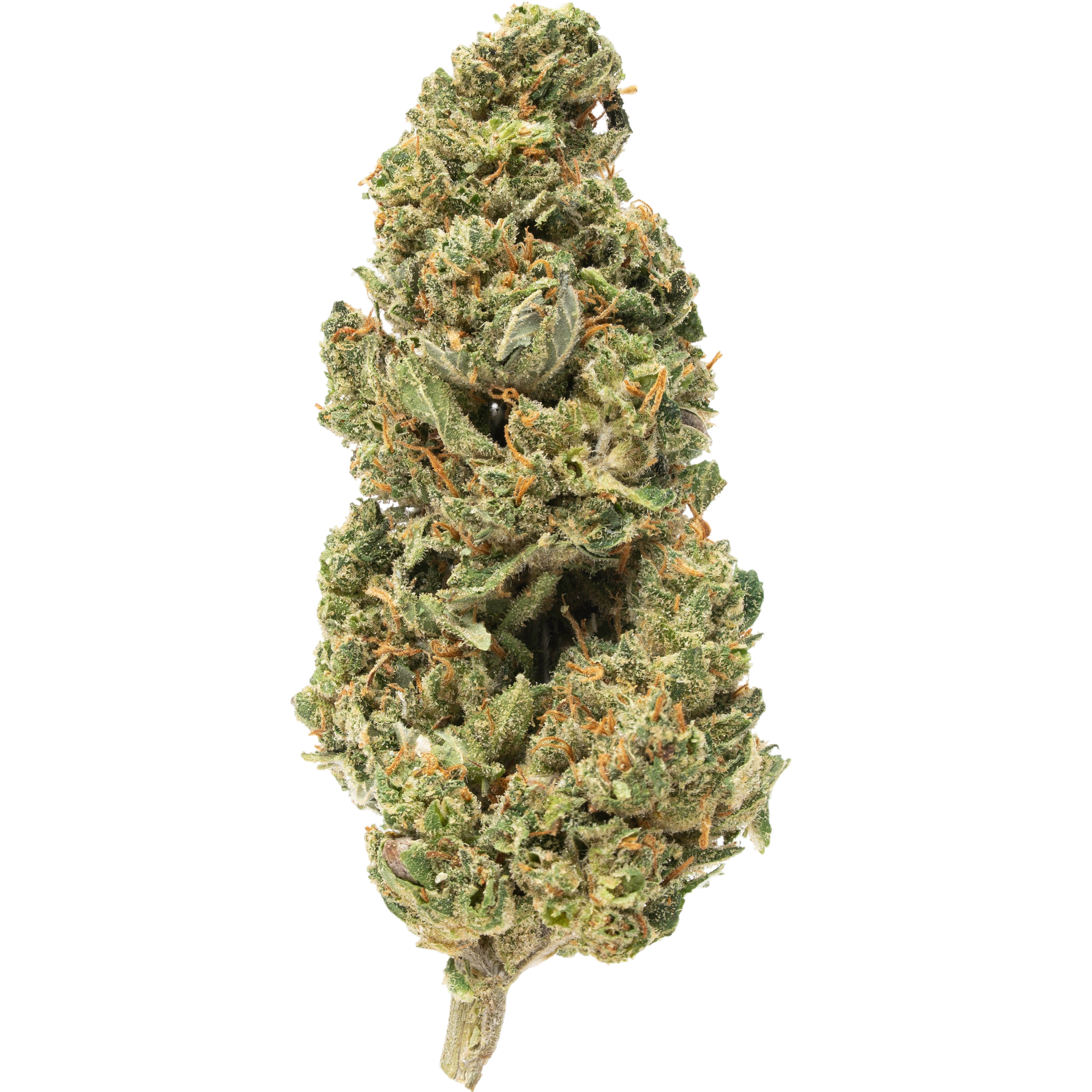 Plain Jane Fruit Leak Green house CBD flower