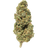 Plain Jane Fruit Leak Green house CBD flower