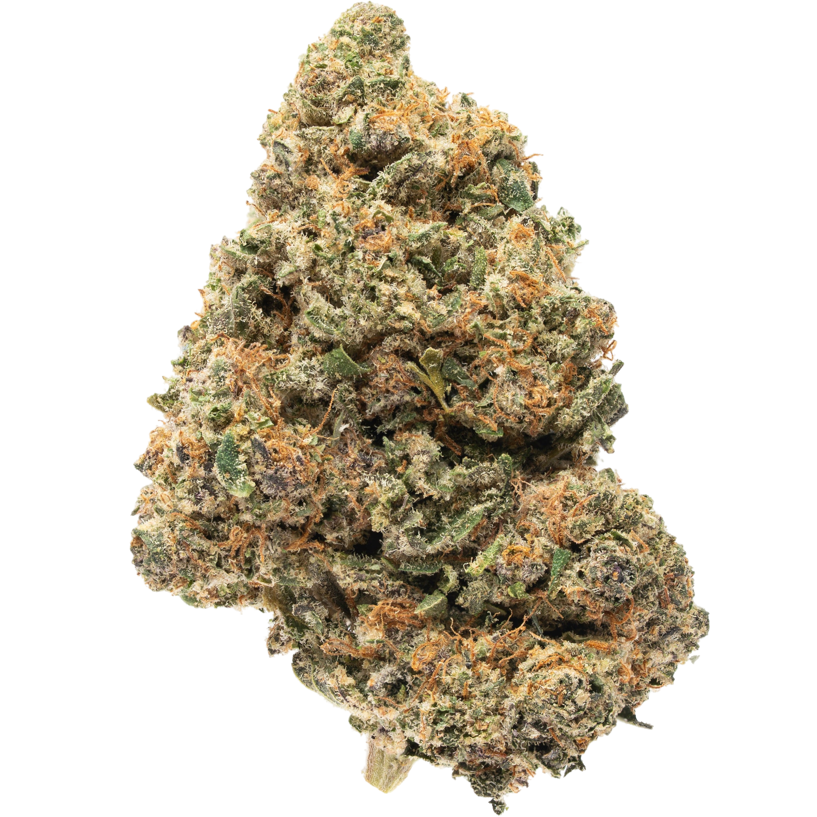 Plain Jane Green house CBD flower Payton's Strawberry 