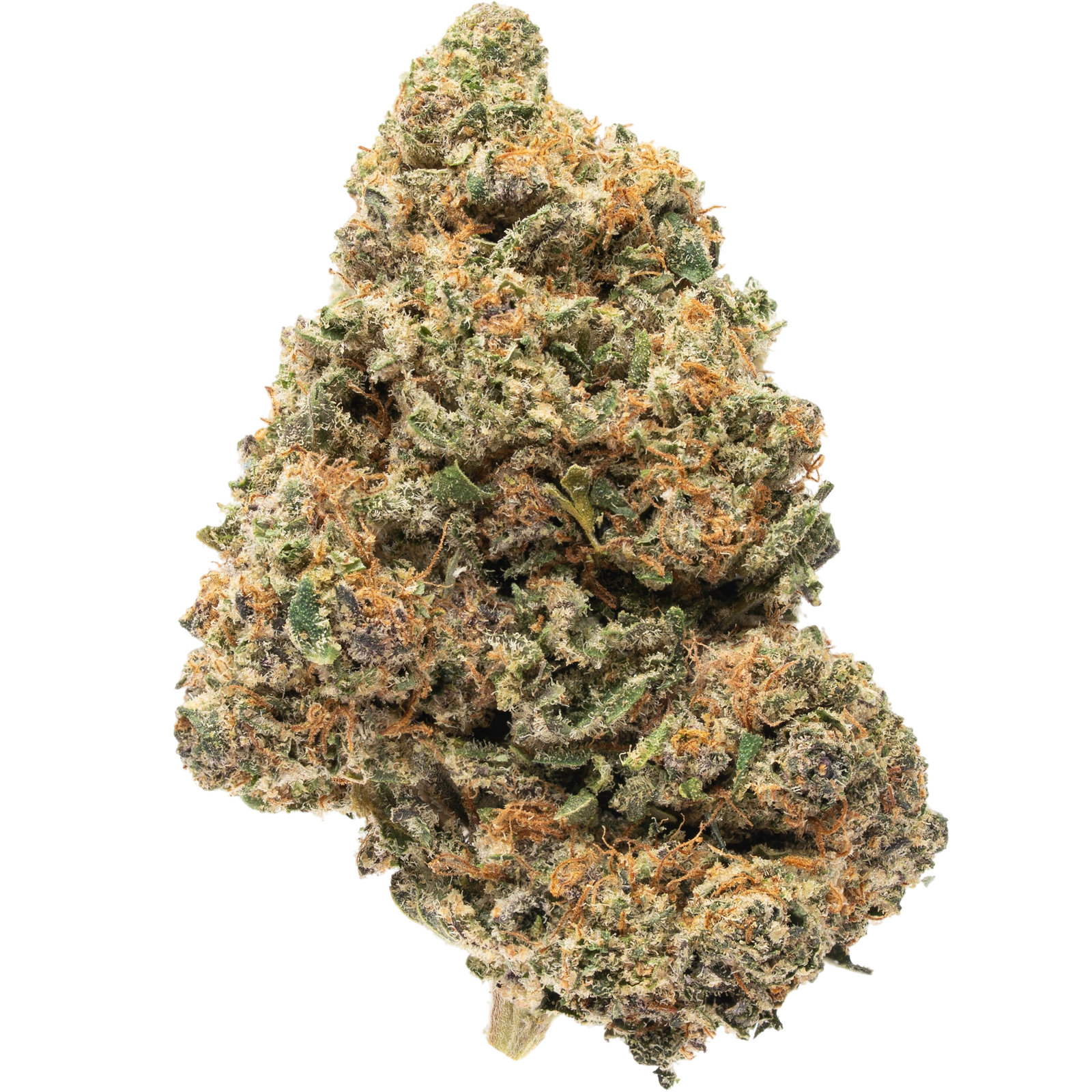 Plain Jane Green house CBD flower Payton's Strawberry 