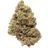 Plain Jane Green house CBD flower Payton's Strawberry 