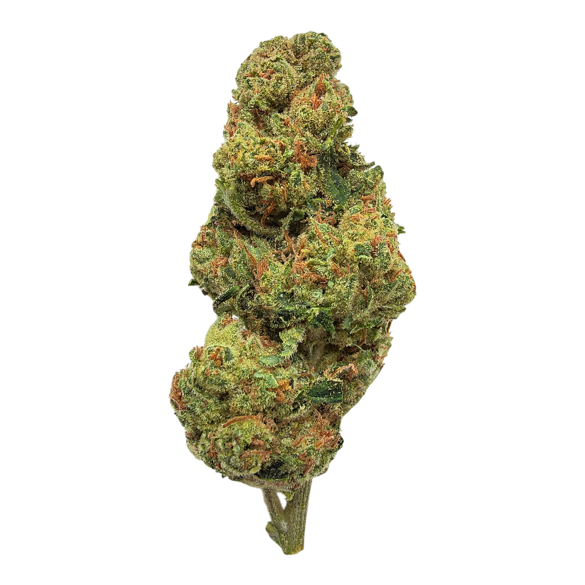 Alien OG Indoor Full-Size Buds THCA flower – isolated current-lot buds