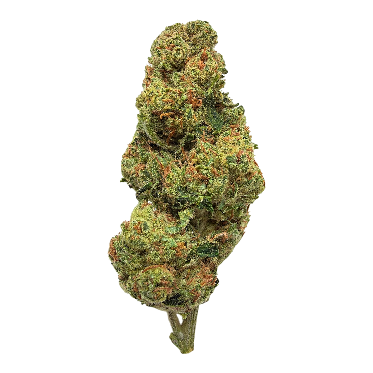 Alien OG Indoor Full-Size Buds THCA flower – isolated current-lot buds