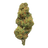 Alien OG Indoor Full-Size Buds THCA flower – isolated current-lot buds