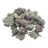 Blueberry Skittlez Indoor Smalls THCA flower – isolated current-batch buds
