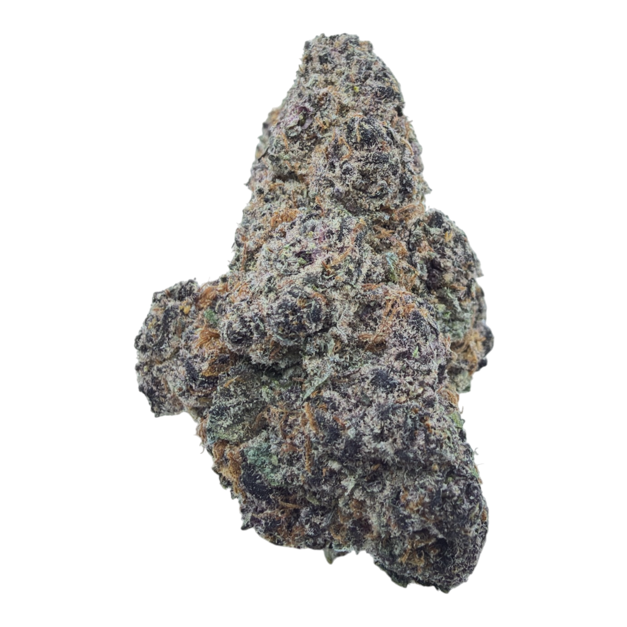 Super Buff Cherry Indoor THCA flower isolated buds on white background