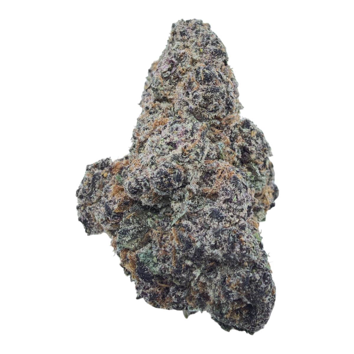 Super Buff Cherry Indoor THCA flower isolated buds on white background