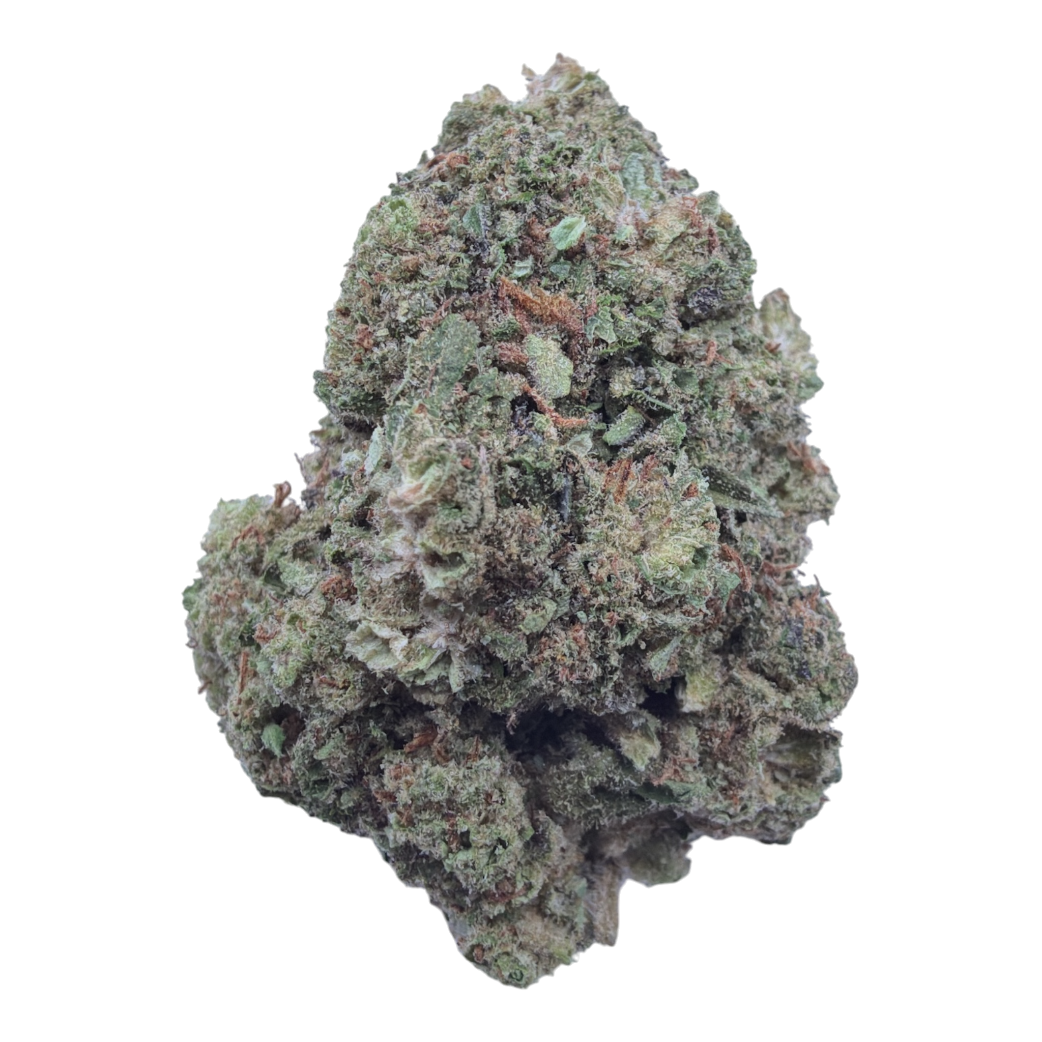 Durban Cookies Light Assist THCA flower isolated buds on white background