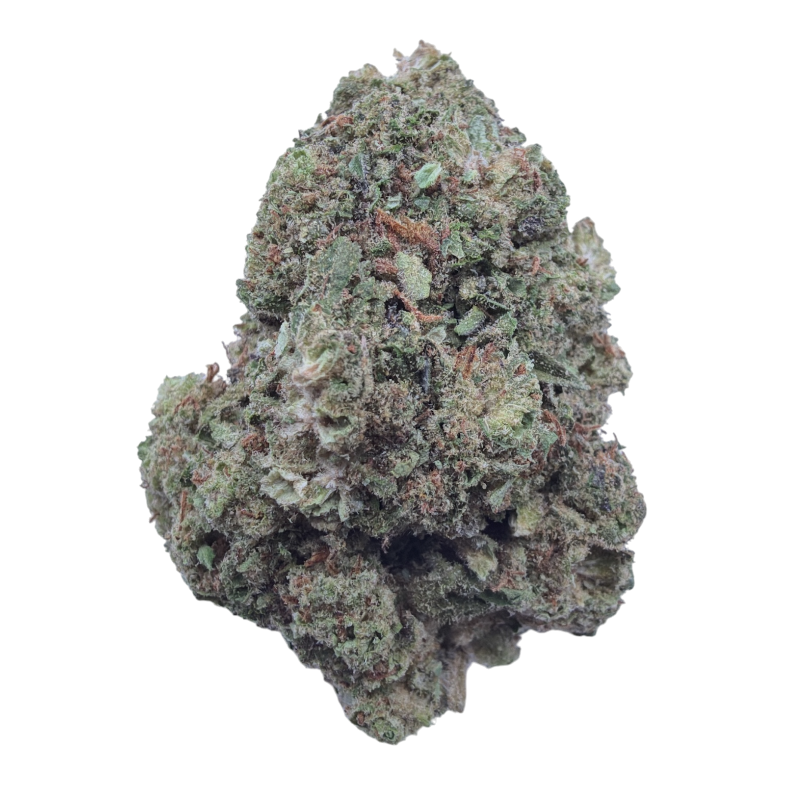 Durban Cookies Light Assist THCA flower isolated buds on white background