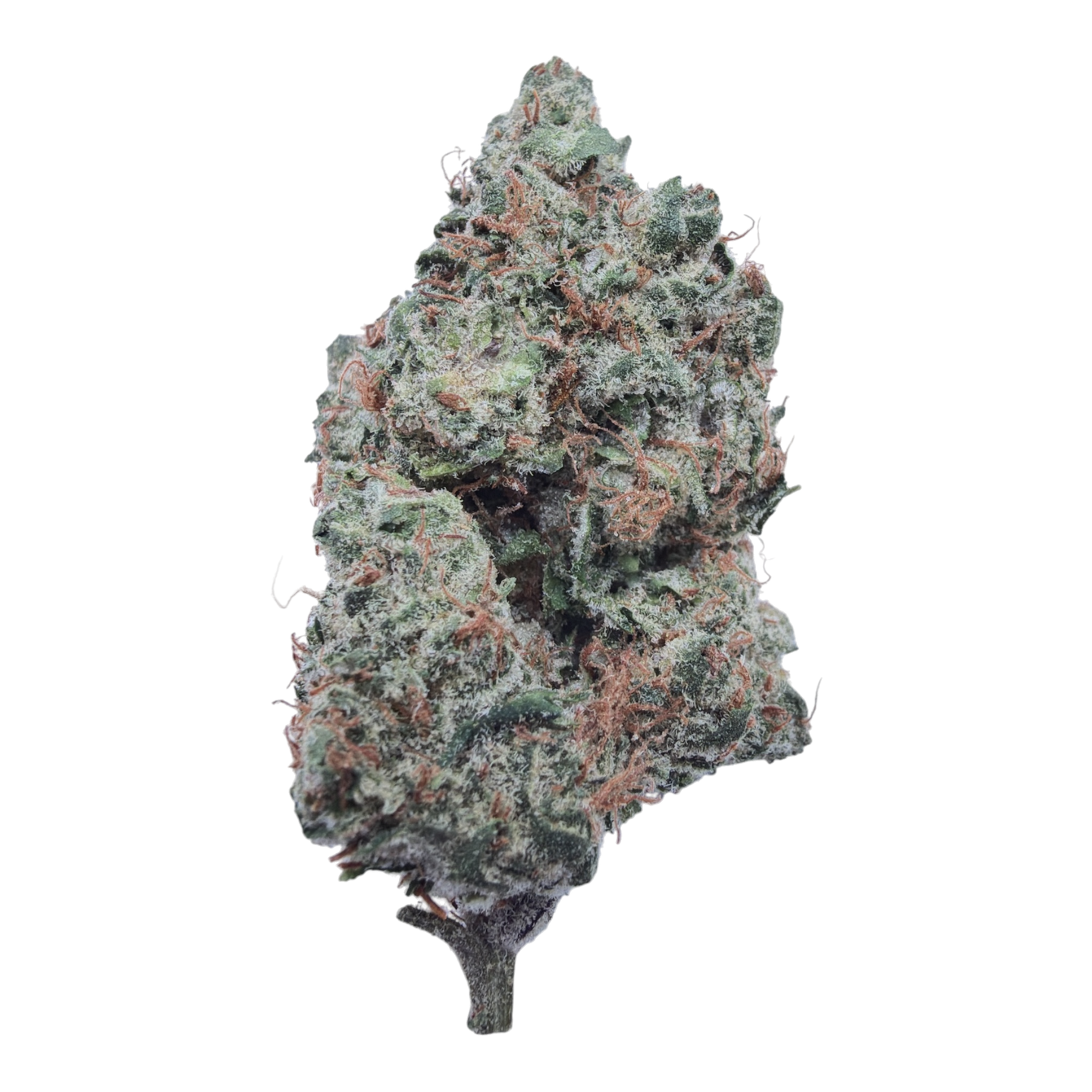 Purple Nebula Light Assist THCA flower isolated buds on white background