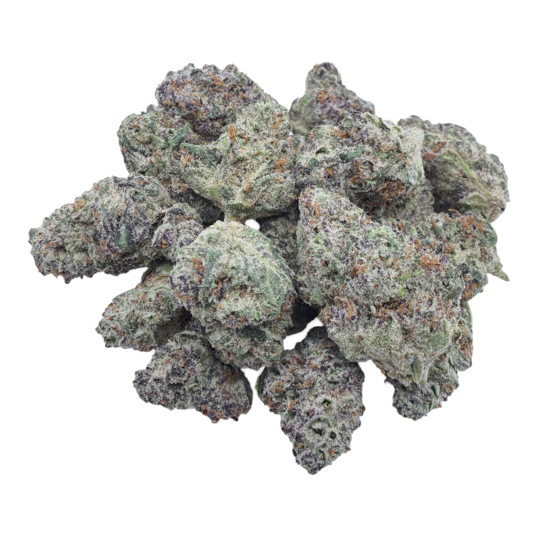 Black Piranha Indoor Smalls THCA flower isolated current-batch buds
