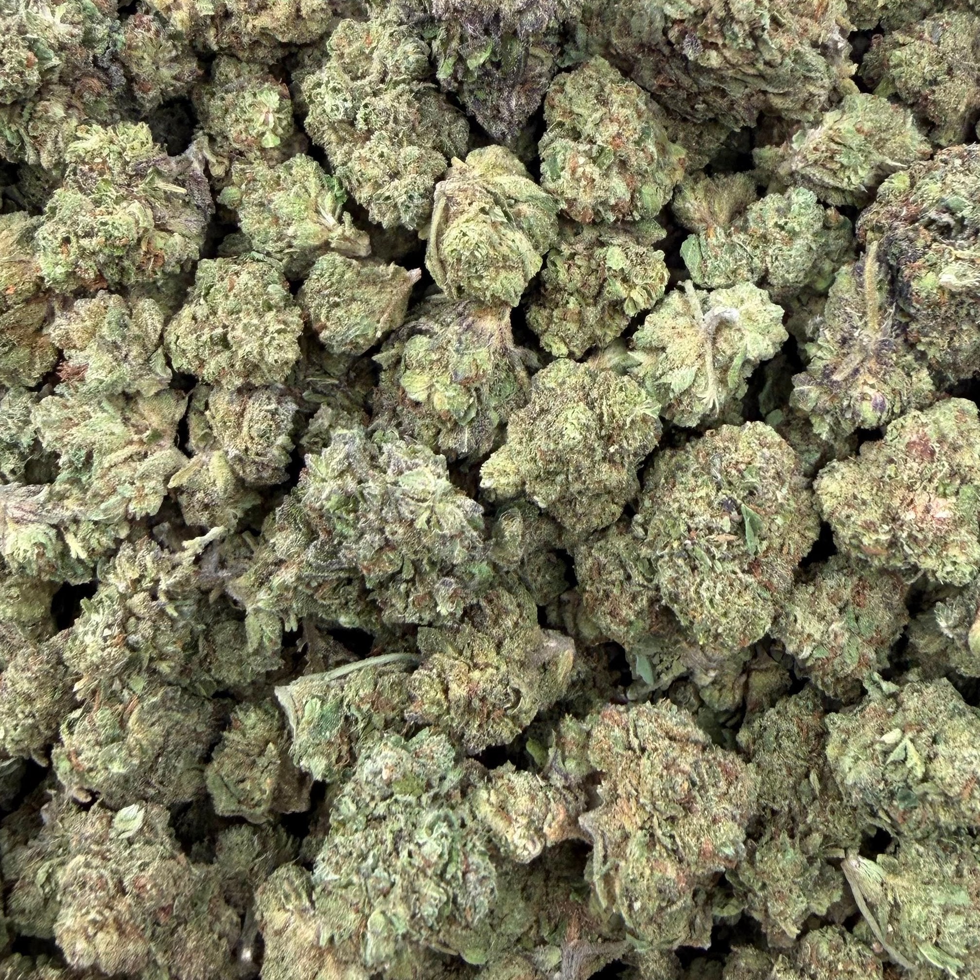 Acai Runtz bulk THCA flower — Plain Jane 1 lb
