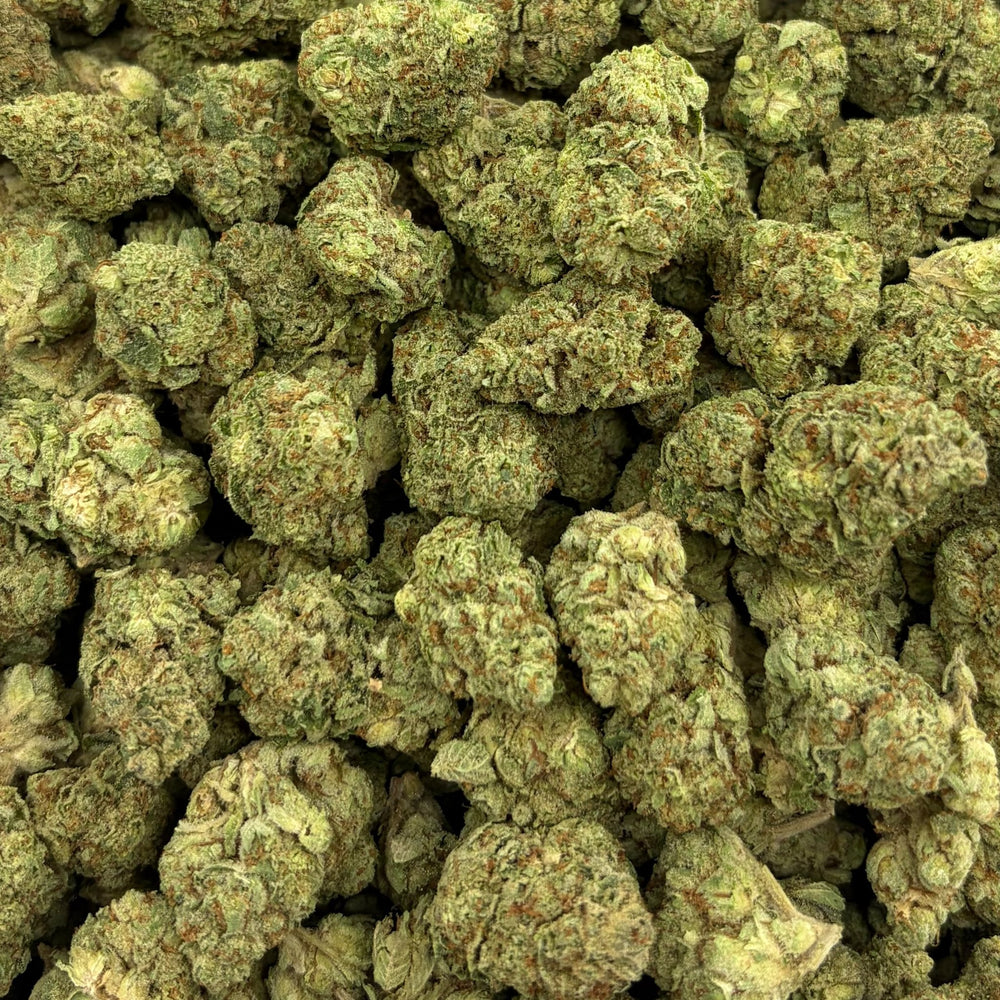 Acapulco Kush