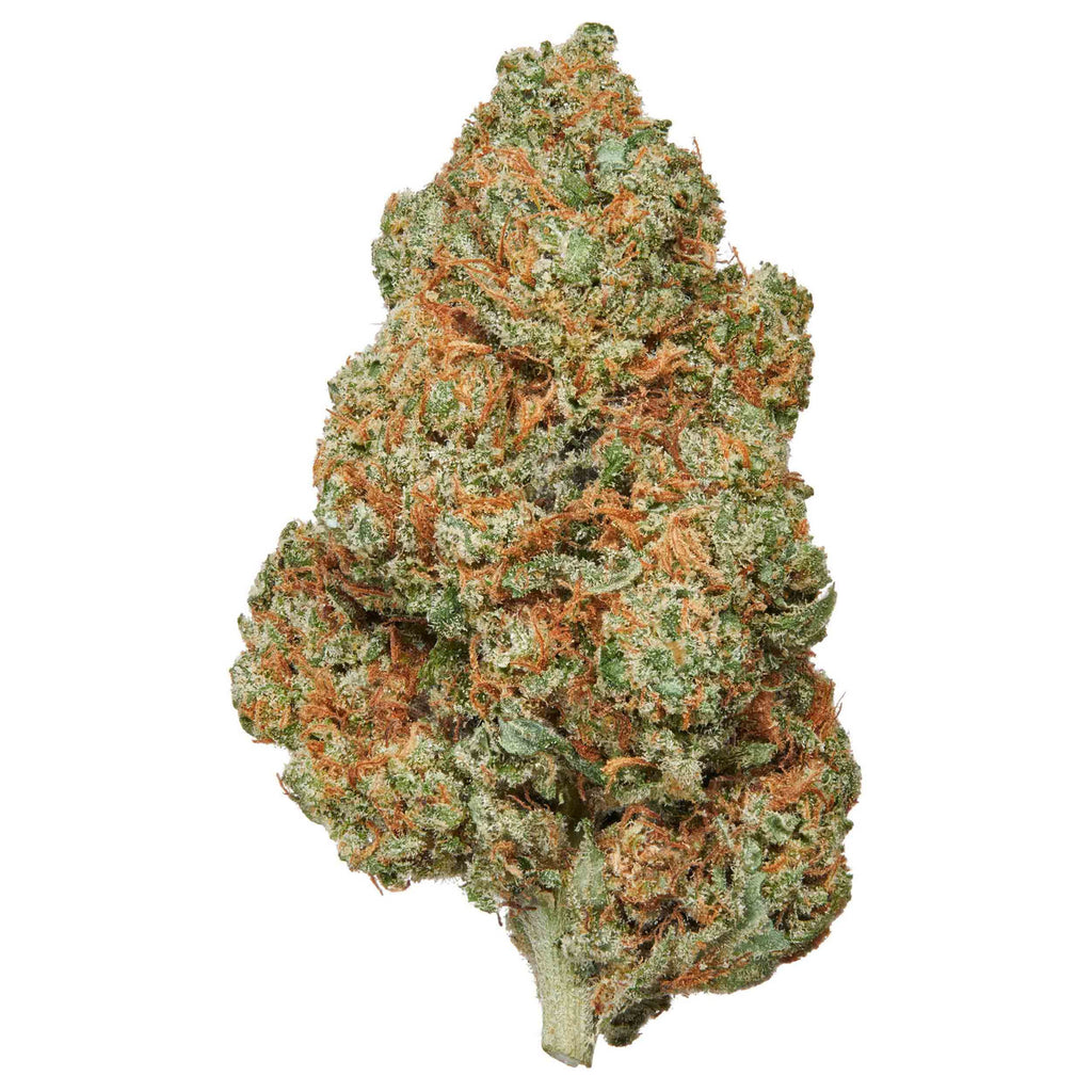 Acid Rock Indoor