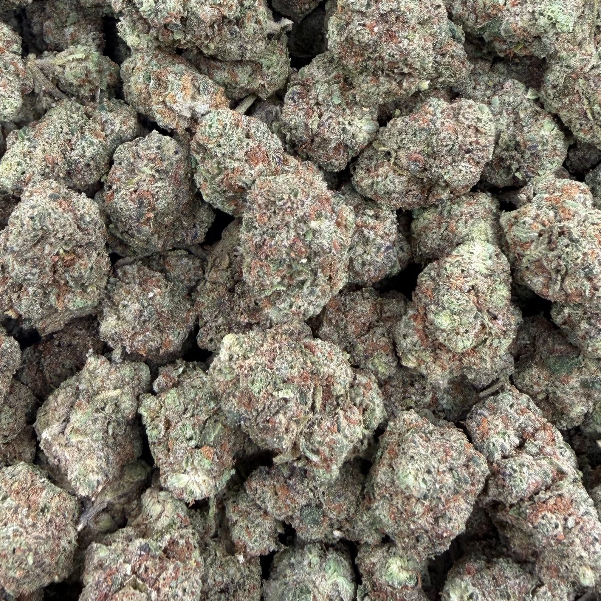 Airbag bulk THCA flower — Plain Jane 1 lb
