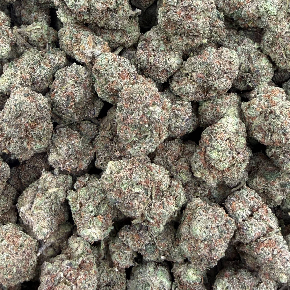Airbag bulk THCA flower — Plain Jane 1 lb