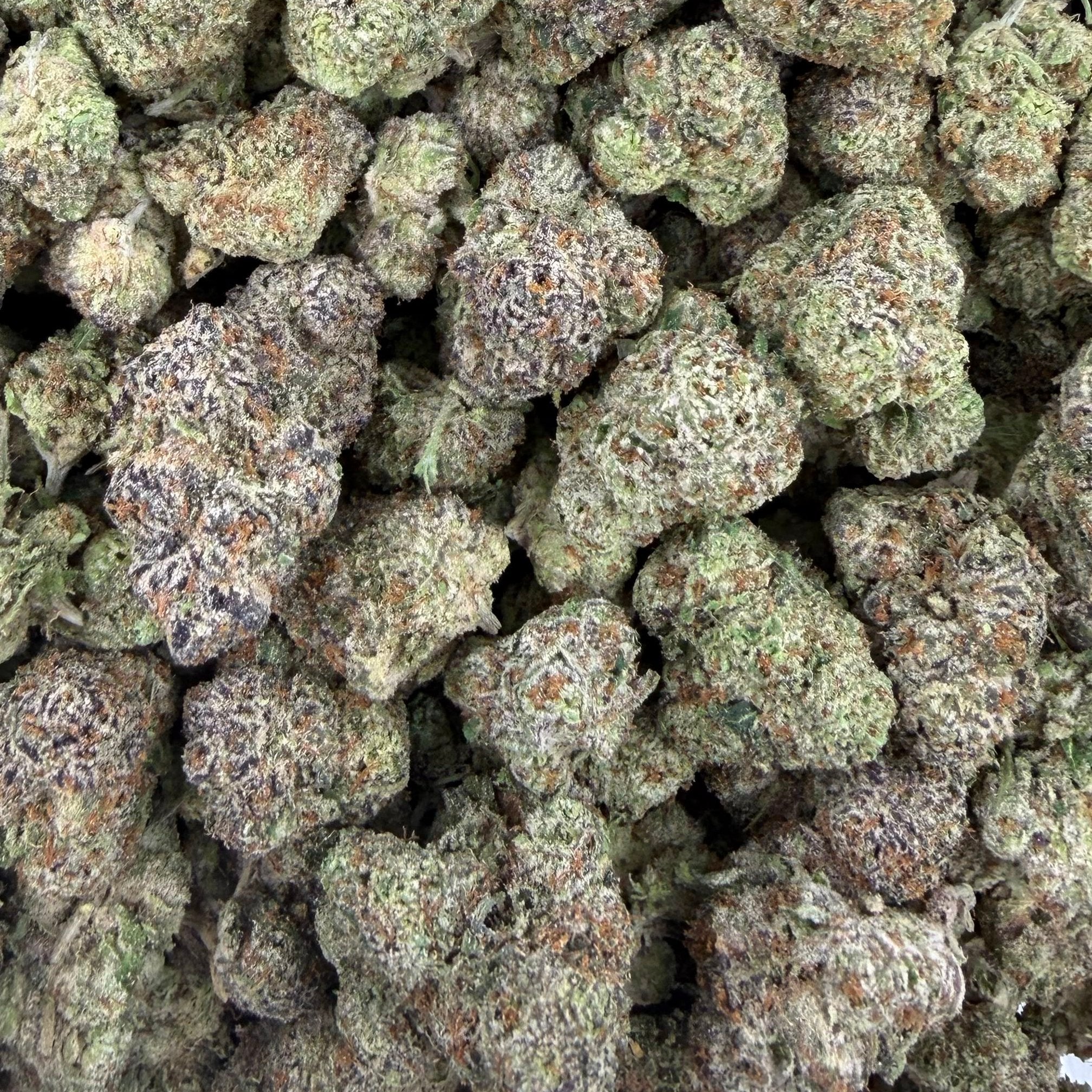 Alaska Ice Cream bulk THCA flower — Plain Jane 1 lb