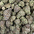 Alaska Ice Cream bulk THCA flower — Plain Jane 1 lb
