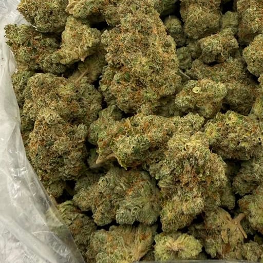 Alaska Thunder Fuck bulk THCA flower — Plain Jane 1 lb