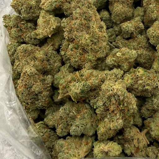 Alaska Thunder Fuck bulk THCA flower — Plain Jane 1 lb