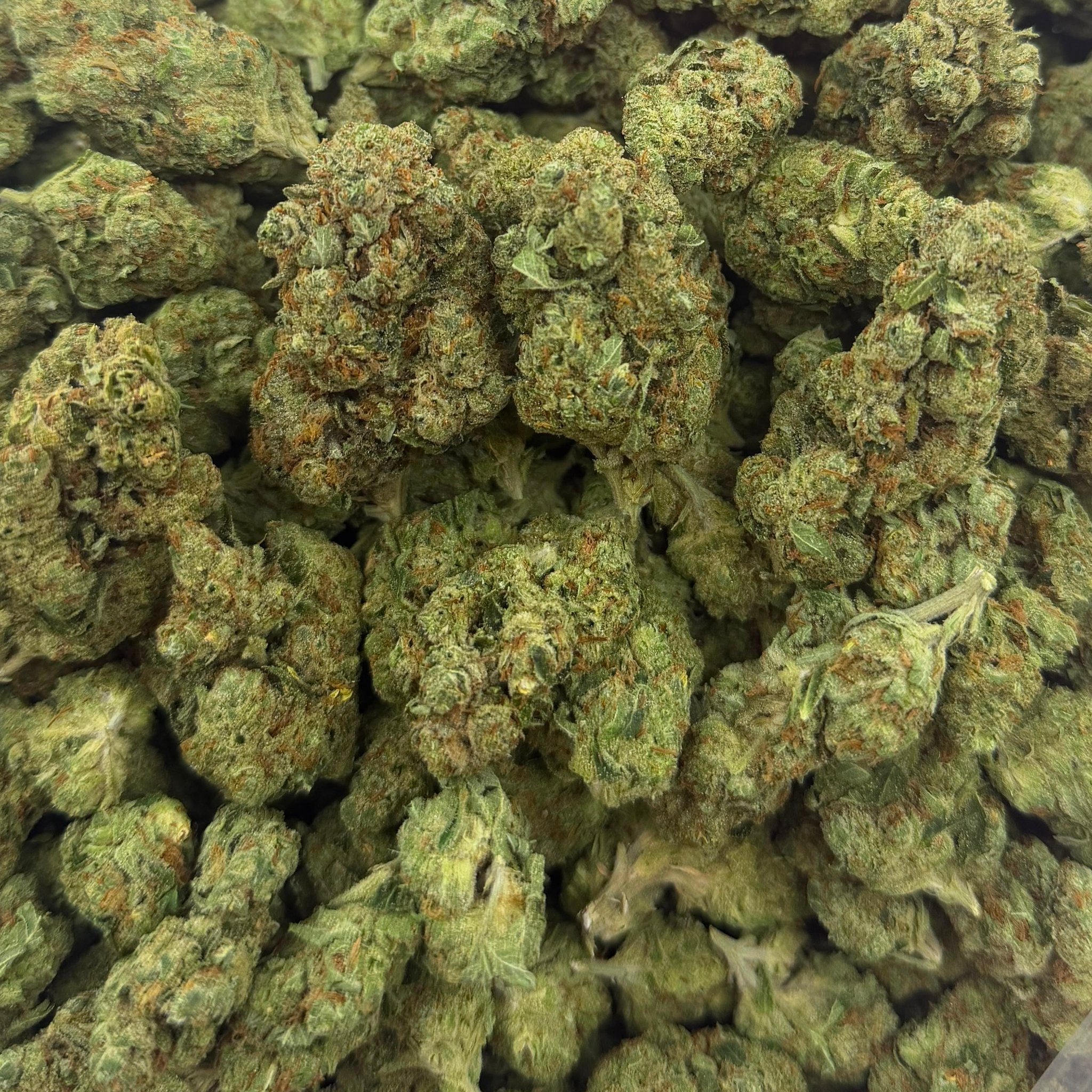 Alien OG bulk THCA flower — Plain Jane 1 lb