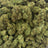 Alien OG bulk THCA flower — Plain Jane 1 lb