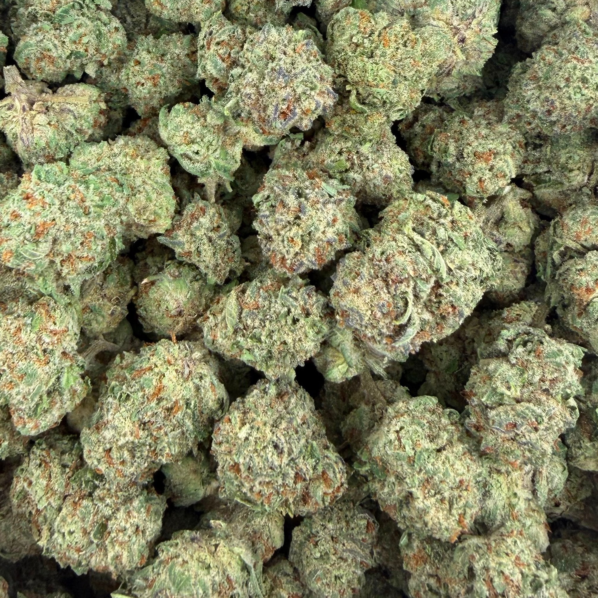 Alien Space Craft bulk THCA flower — Plain Jane 1 lb