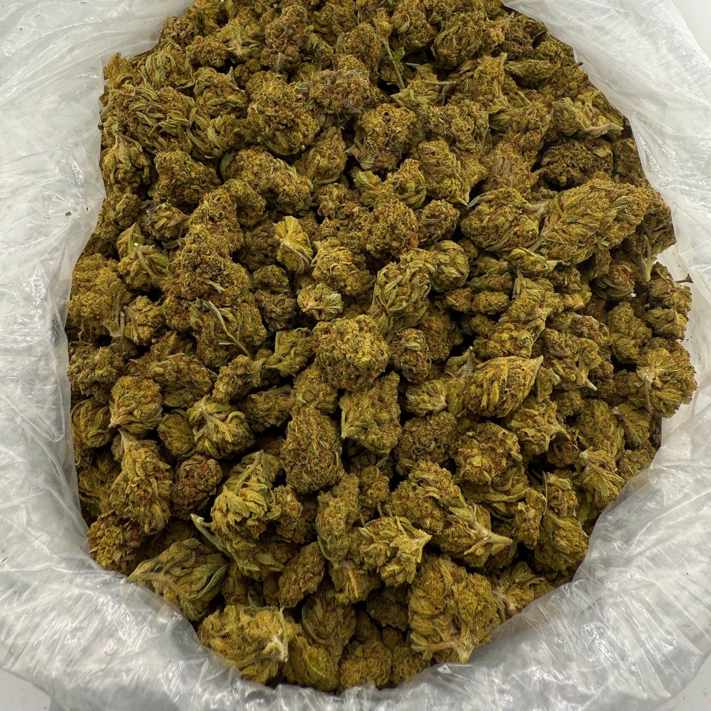 Almond Mochi bulk THCA flower — Plain Jane 1 lb