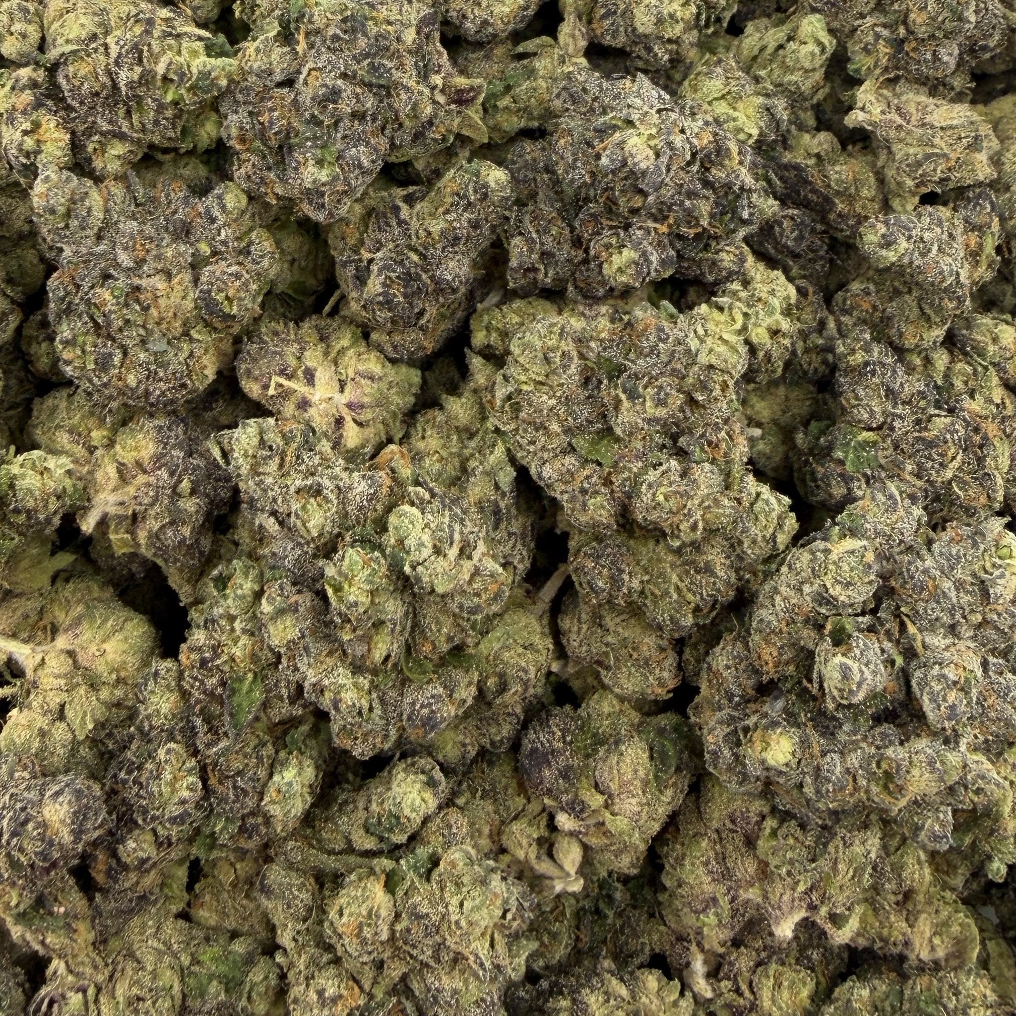 Amber Rose bulk THCA flower — Plain Jane 1 lb