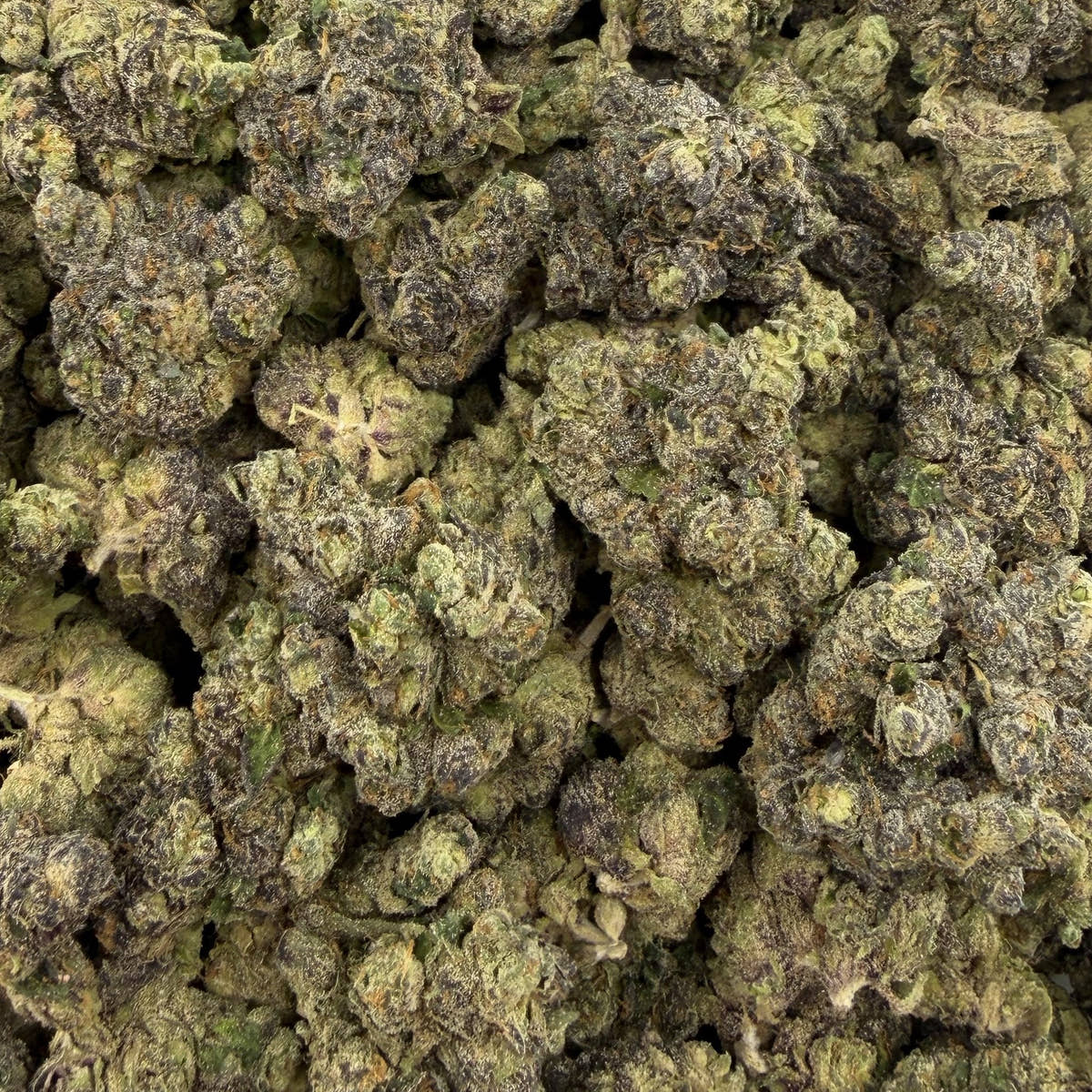 Amber Rose bulk THCA flower — Plain Jane 1 lb