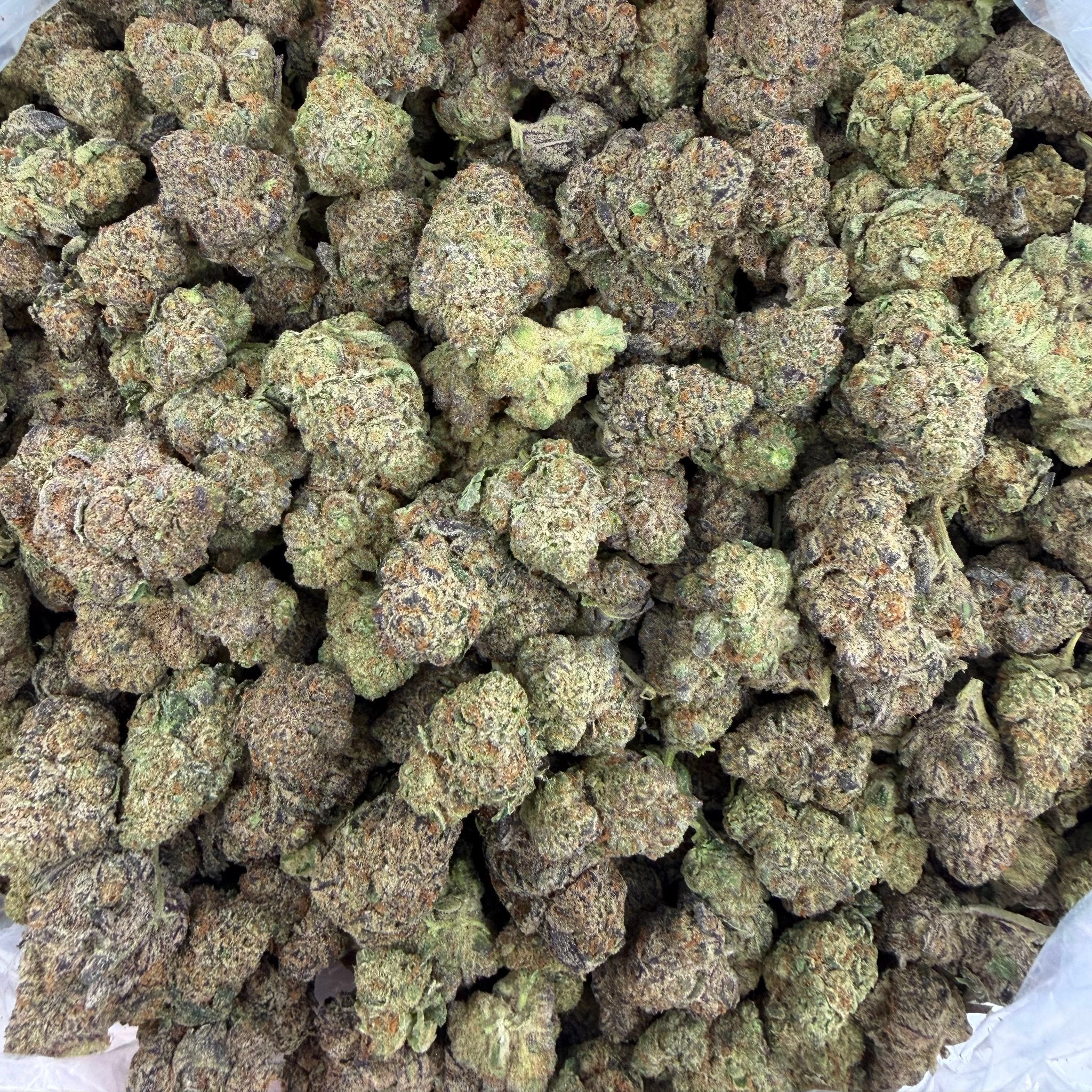 Animal Cocktail bulk THCA flower — Plain Jane 1 lb