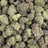 Animal Cocktail bulk THCA flower — Plain Jane 1 lb