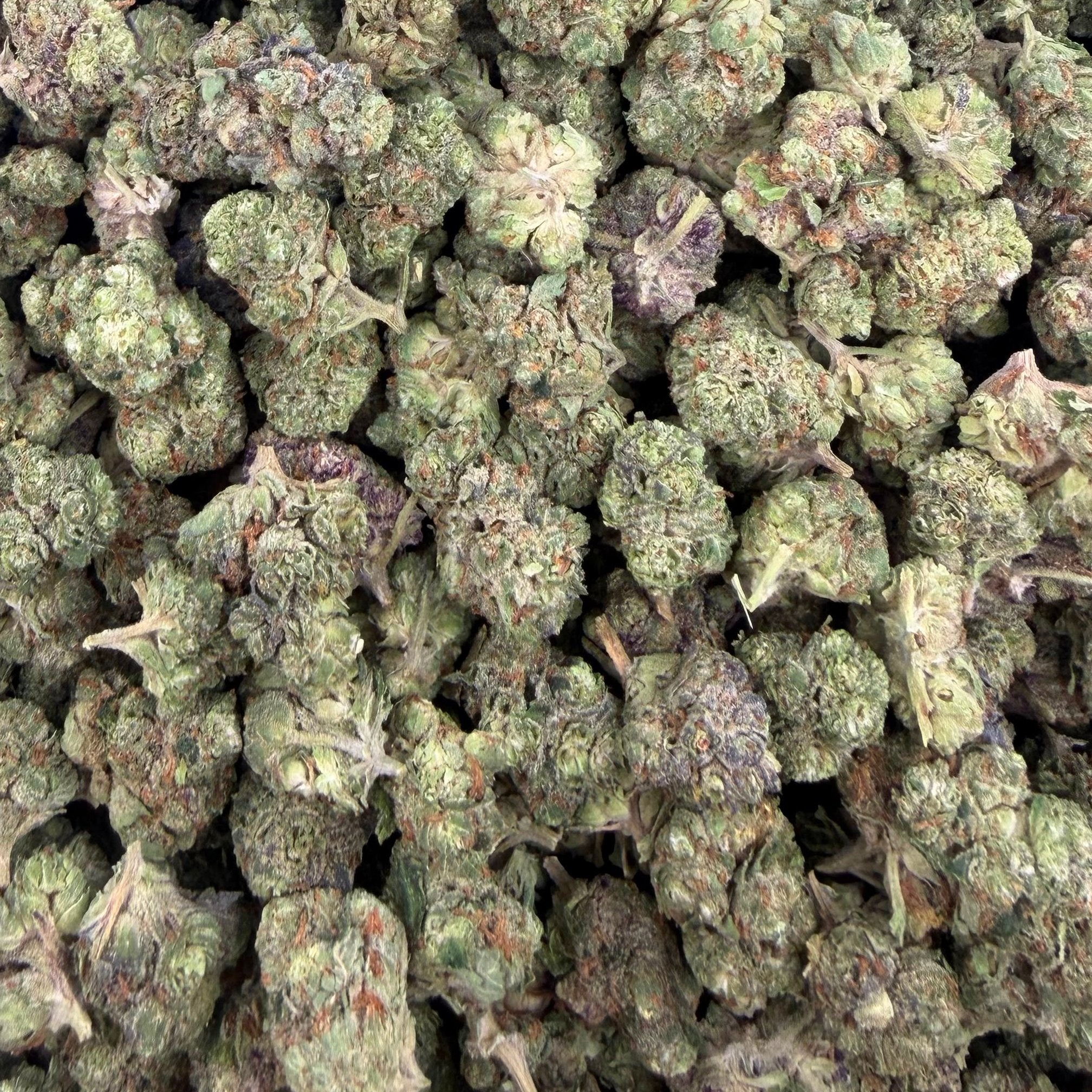 Animal Cocktail bulk THCA flower — Plain Jane 1 lb