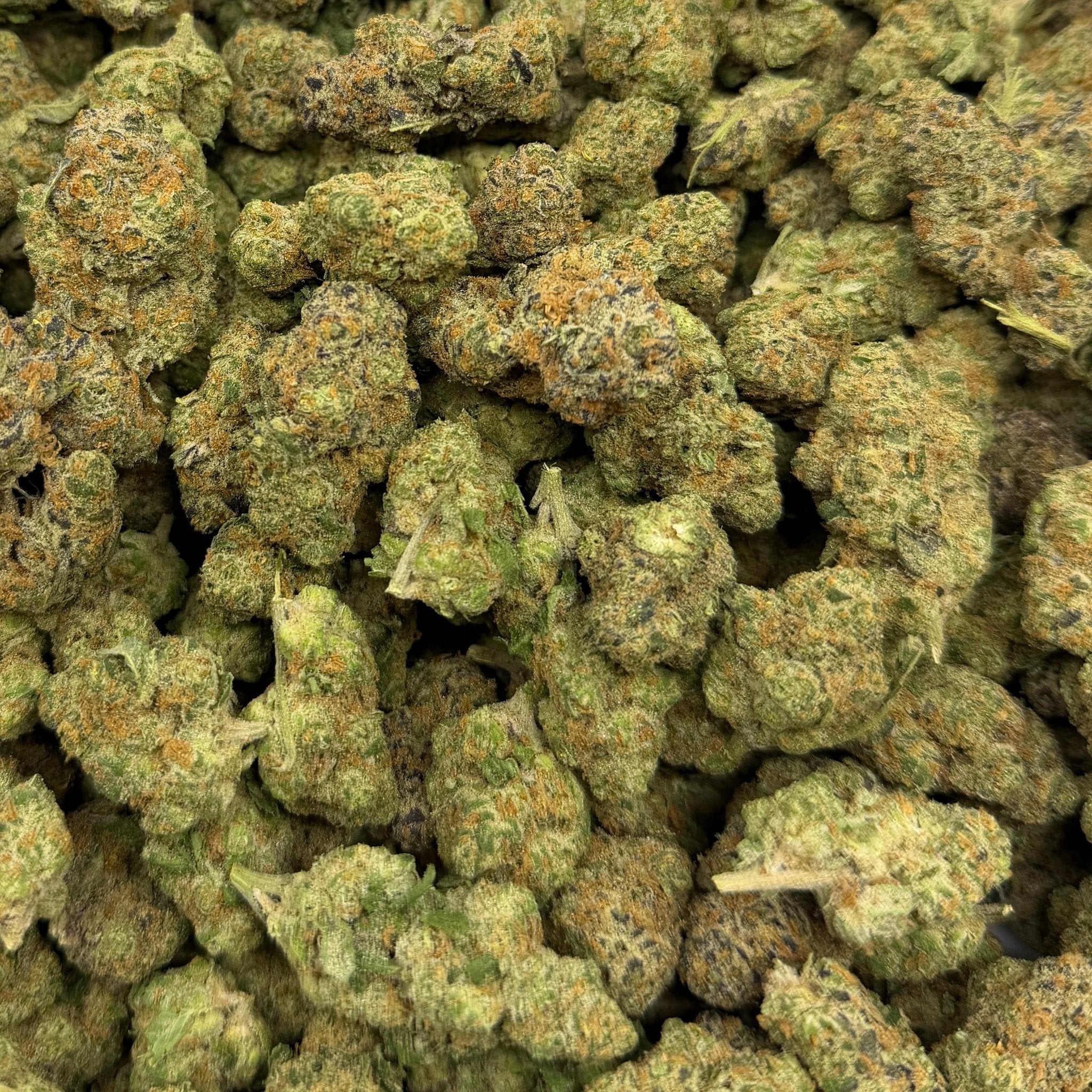 Animal Cocktail bulk THCA flower — Plain Jane 1 lb